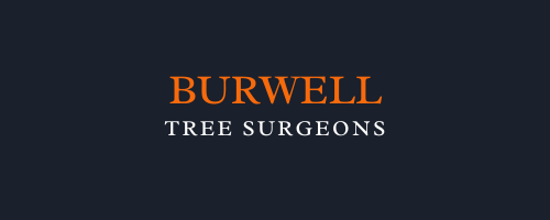 Burwell Tree Surgeons